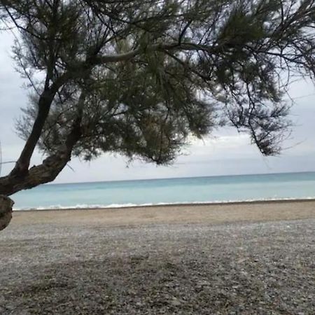 Casa Carmen Martinez 36 A Hotel มอนโกฟาร์ ภายนอก รูปภาพ