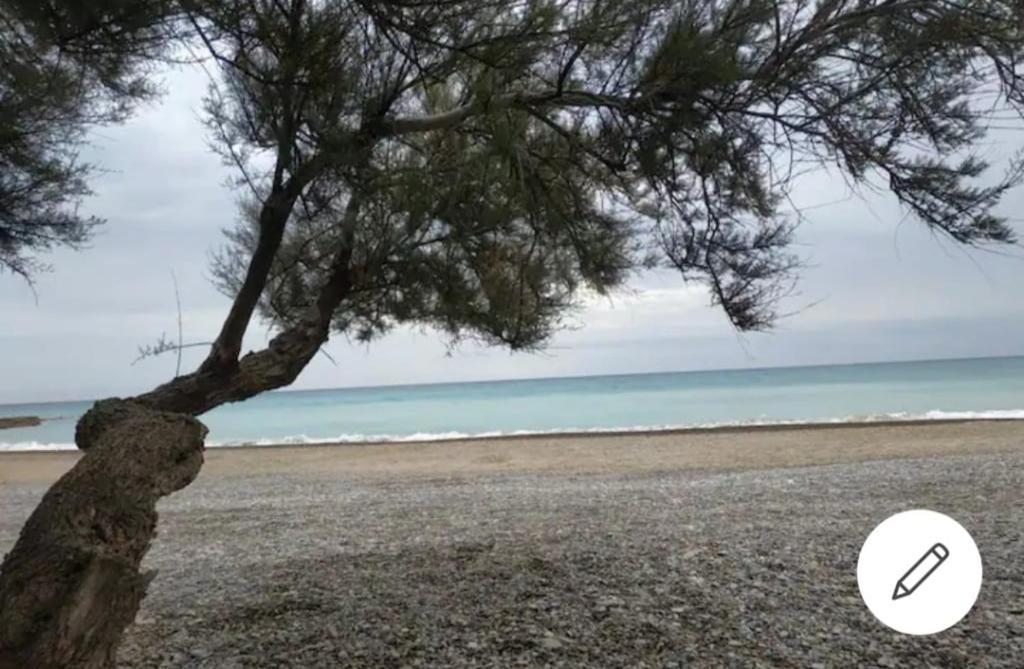 Casa Carmen Martinez 36 A Hotel มอนโกฟาร์ ภายนอก รูปภาพ